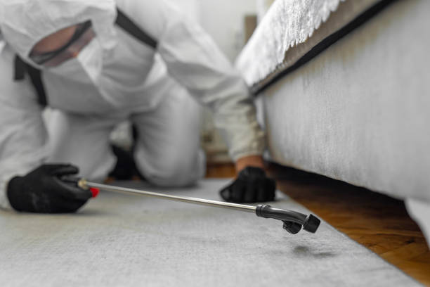 Professional Ant Control technician working in Lafayette County County, FL